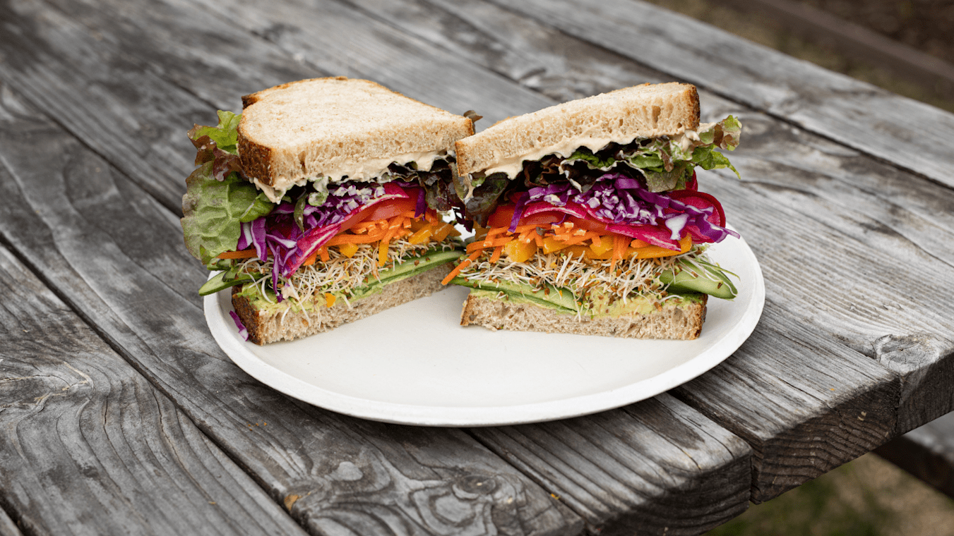 Rainbow Veggie Sandwich - Lettuce Grow