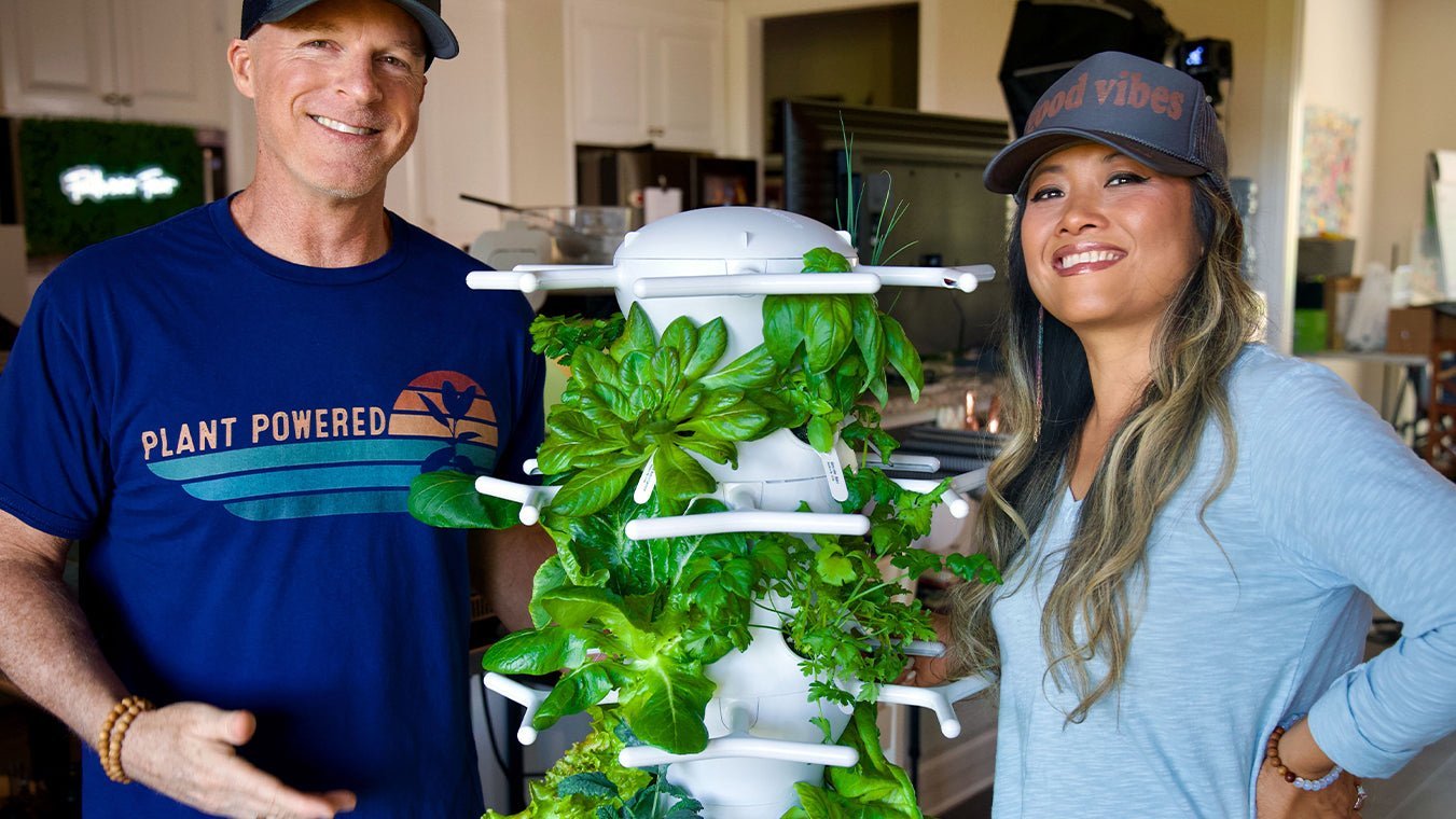 Q&A: The Joy of Juice - Lettuce Grow