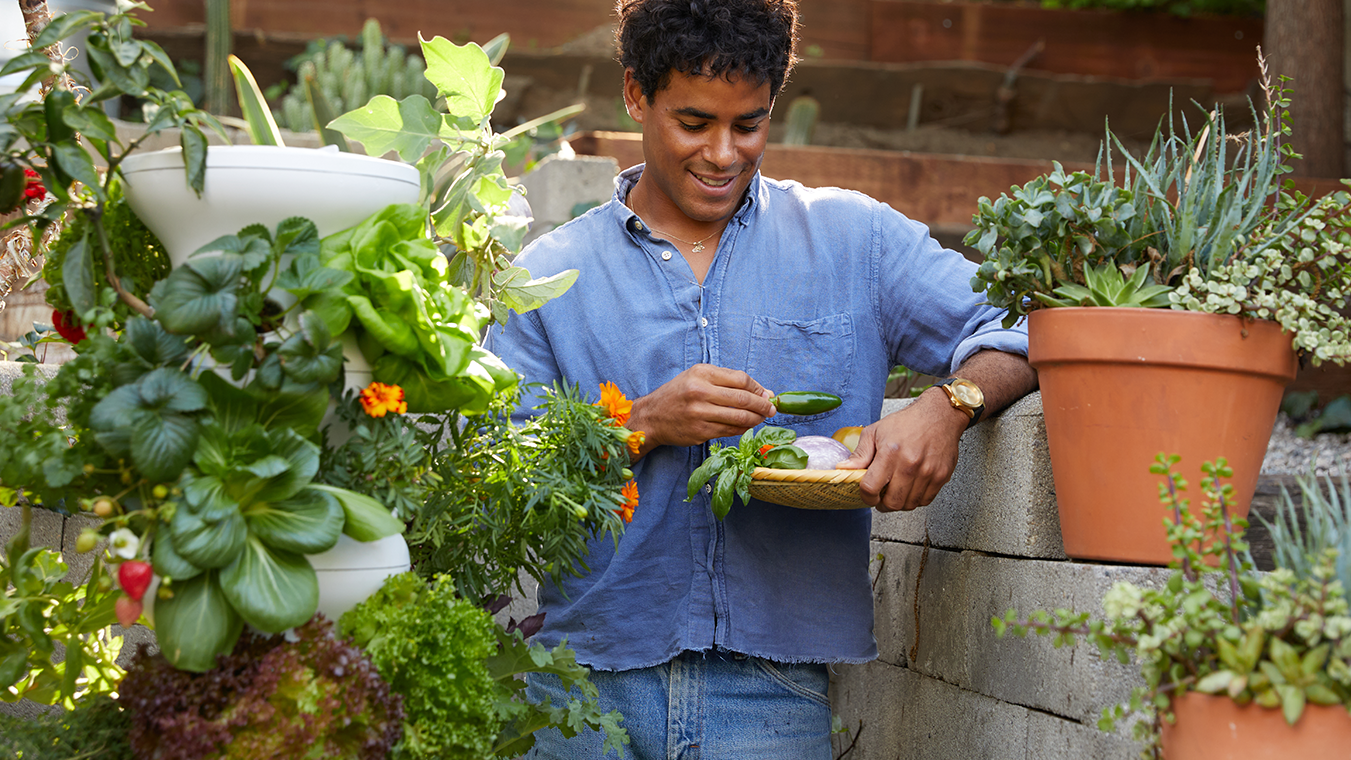 Q&A: Bringing Nature to City Life - Lettuce Grow