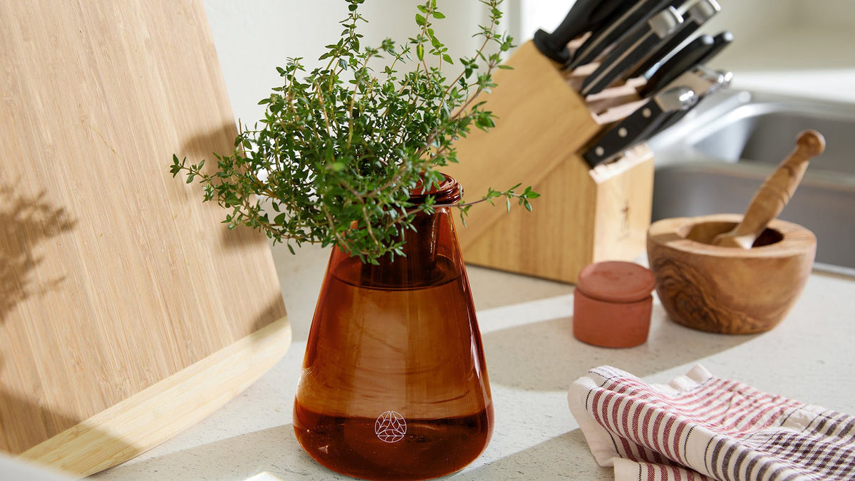 Fireside Tea Blend ⛨ - Lettuce Grow