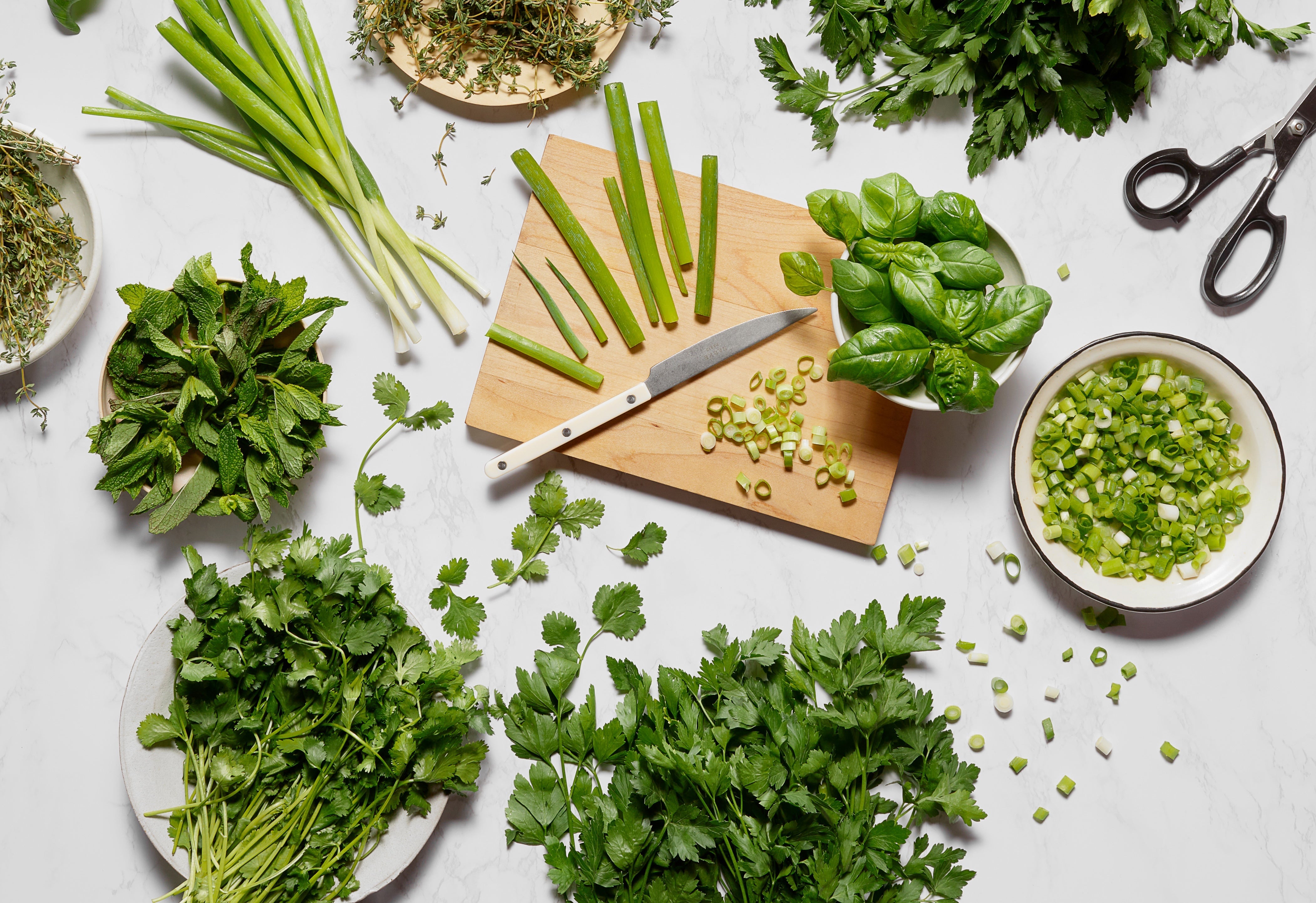 Counterstand Seedlings Starter Bundle