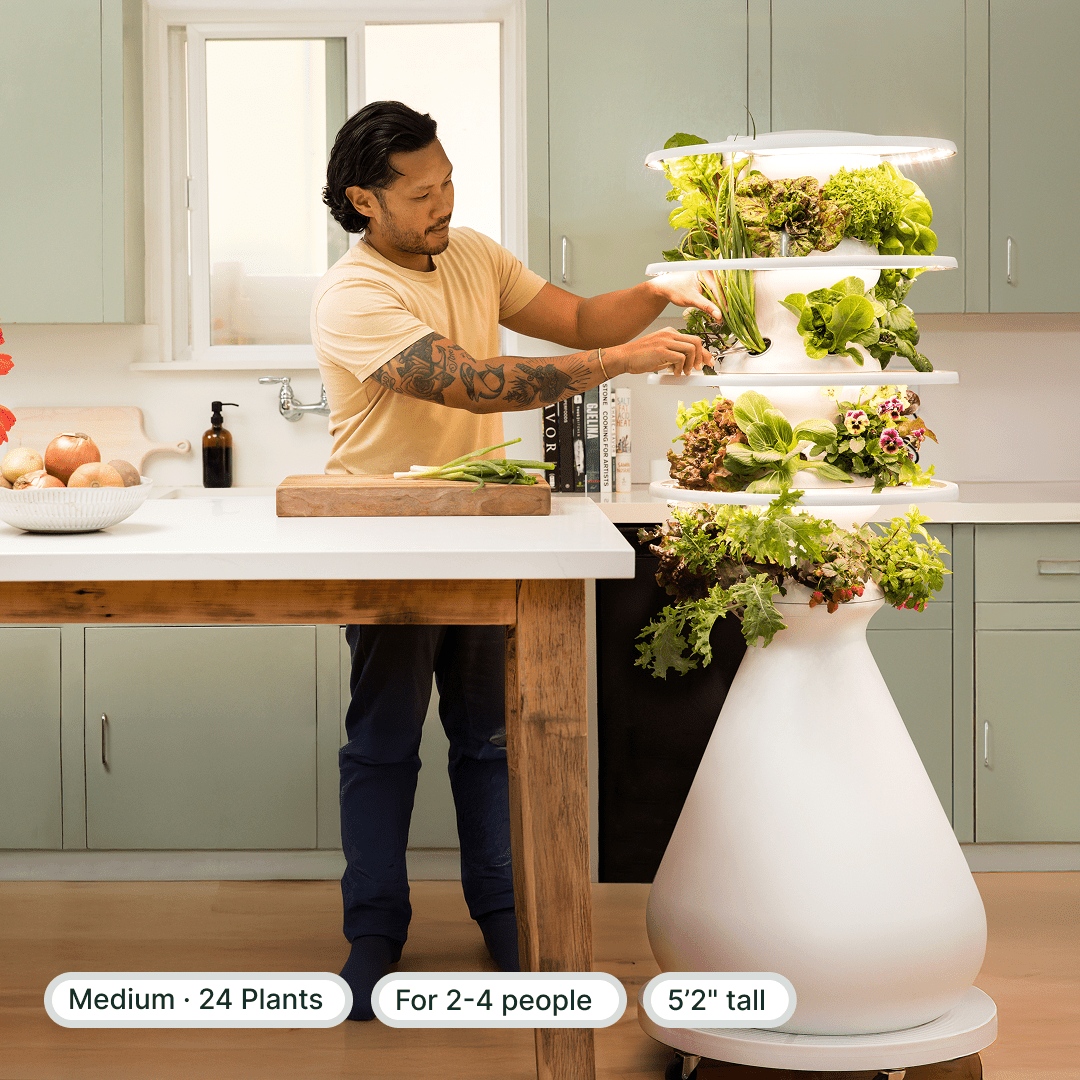 Original Farmstand - Lettuce Grow
#medium+indoor