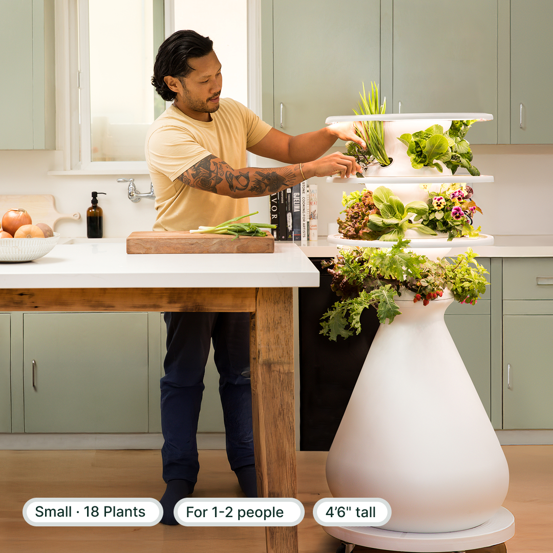 #small+indoor
