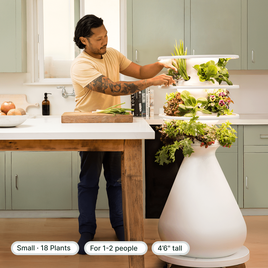 Original Farmstand - Lettuce Grow
#small+indoor