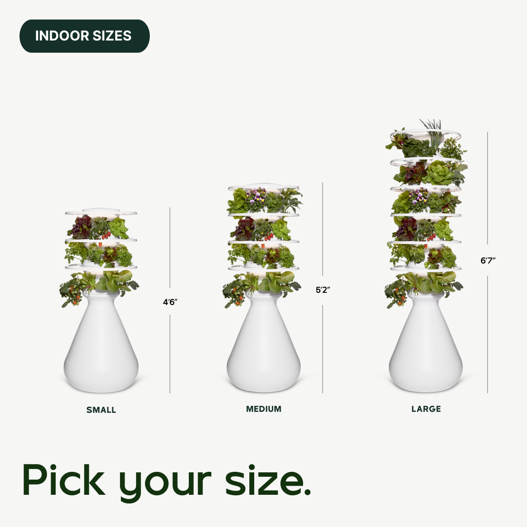 #indoor