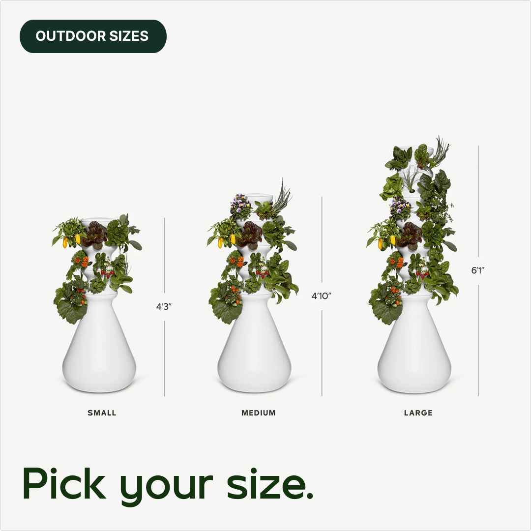 #outdoor