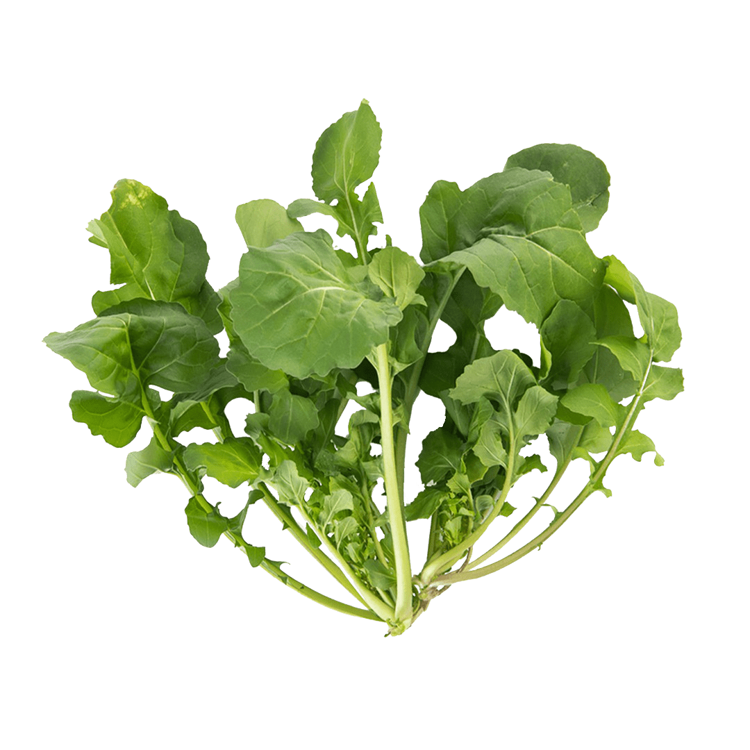 Astro Arugula