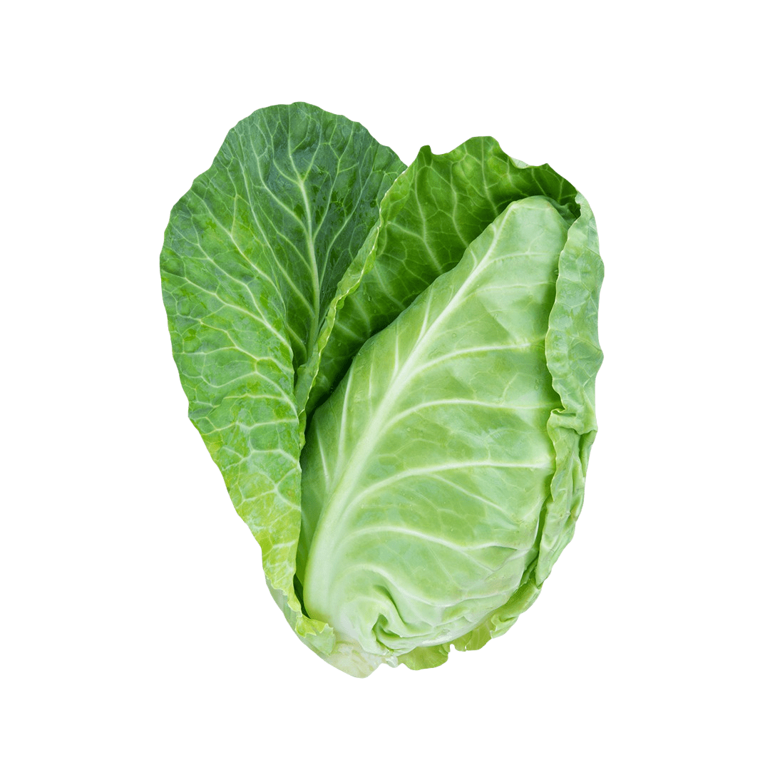 Green Cabbage