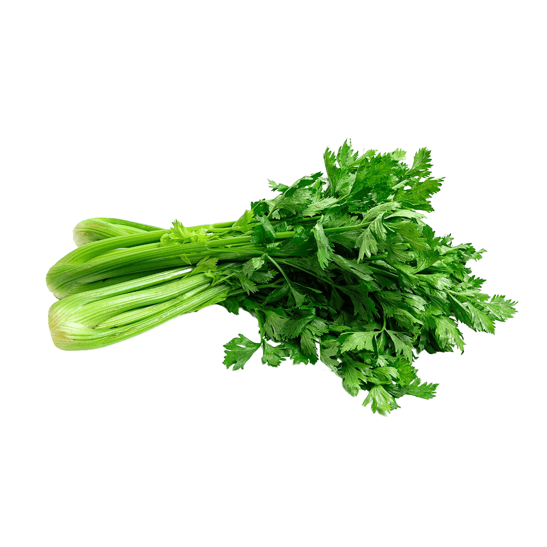 Cutting Celery