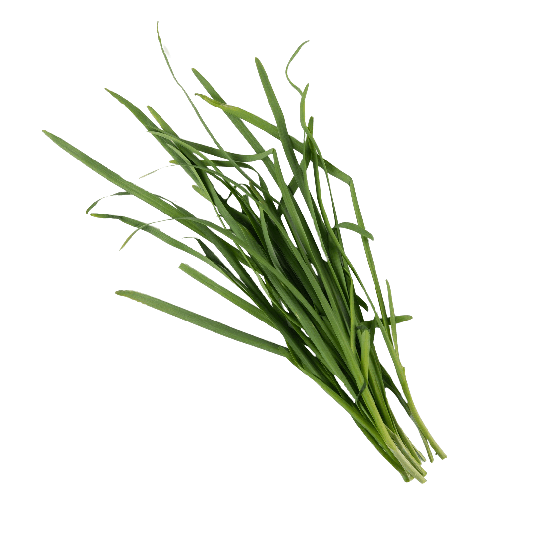 Garlic Chives