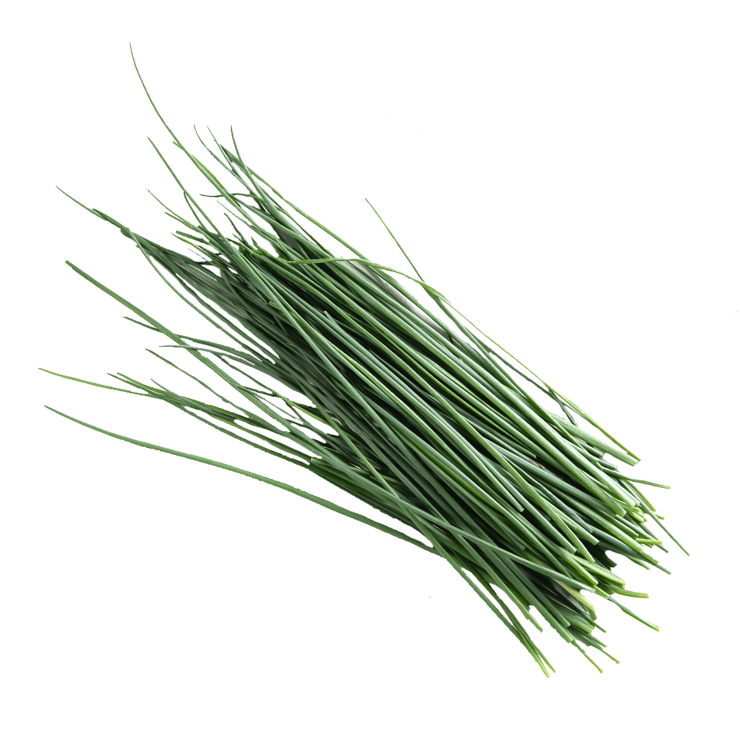 Chives