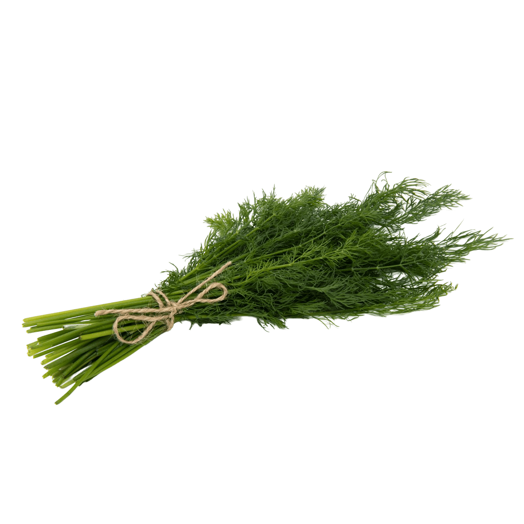 Dill