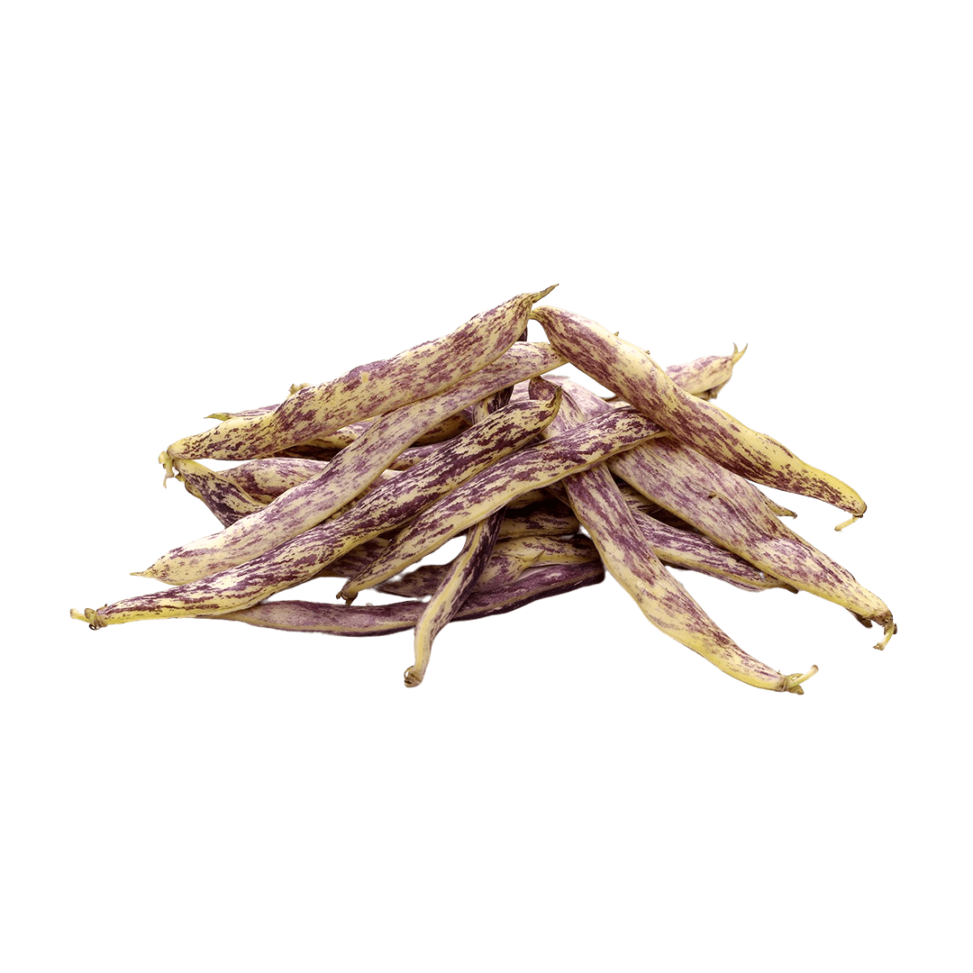 Dragon Tongue Beans