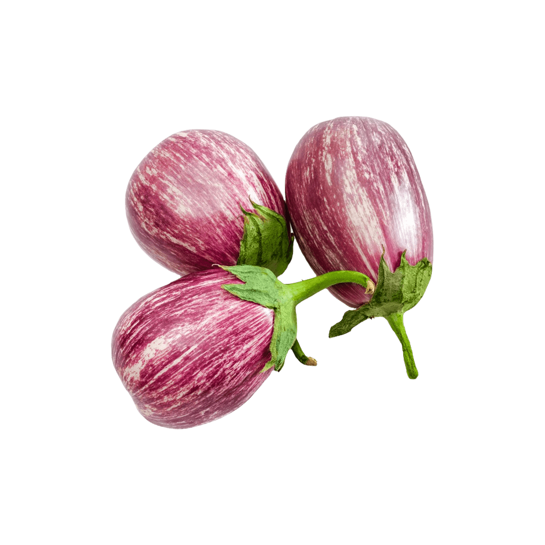 Piccolo Eggplant
