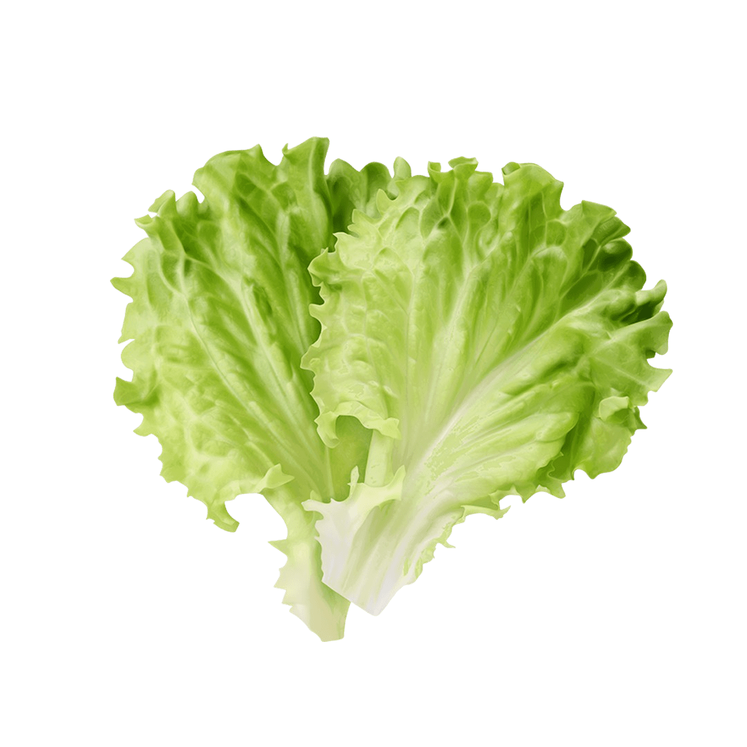 Escarole