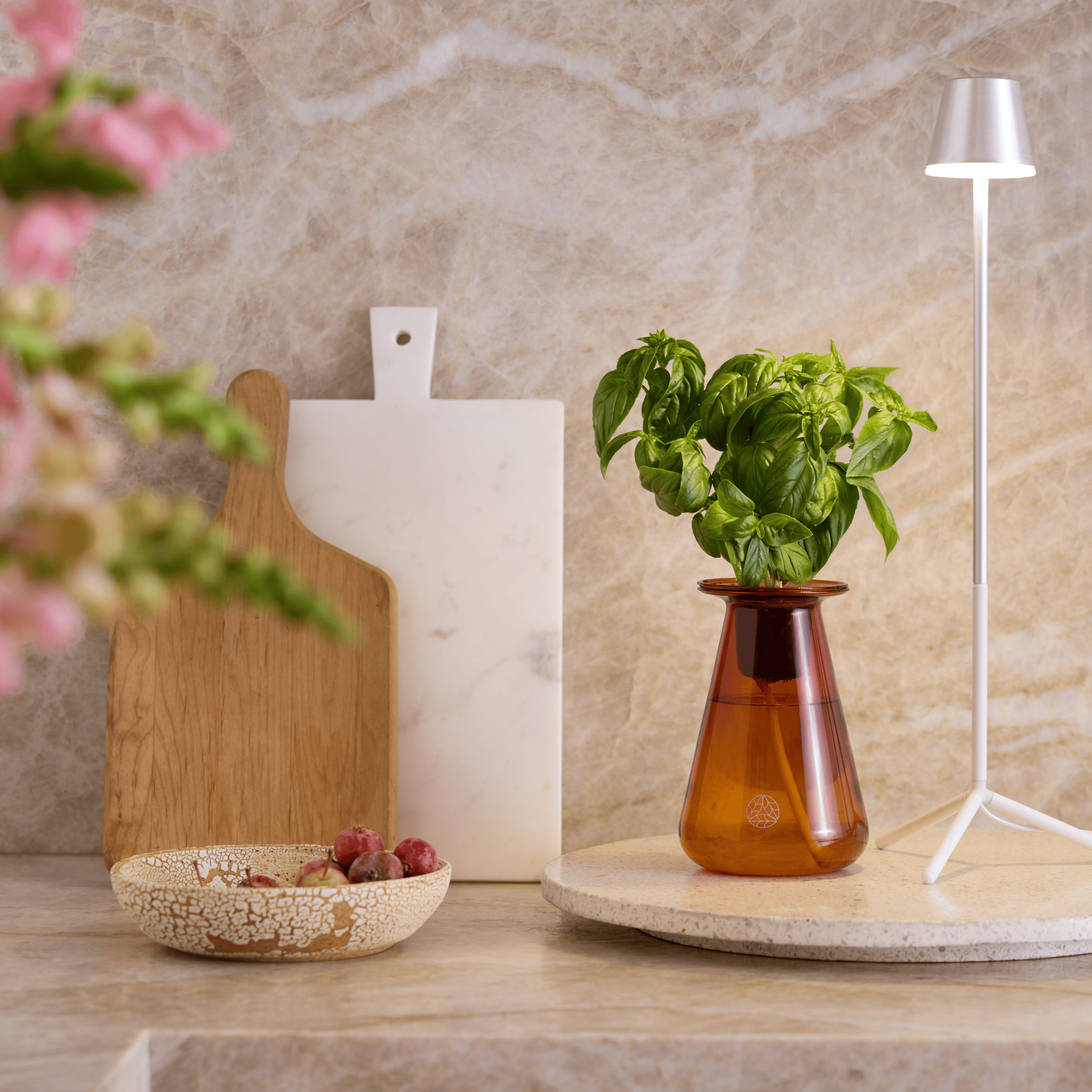 Single Counterstand Set (AmazonFBM SINGLE-CST-SET-BEST)