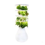 Glow Rings® (2-ring) - Lettuce Grow