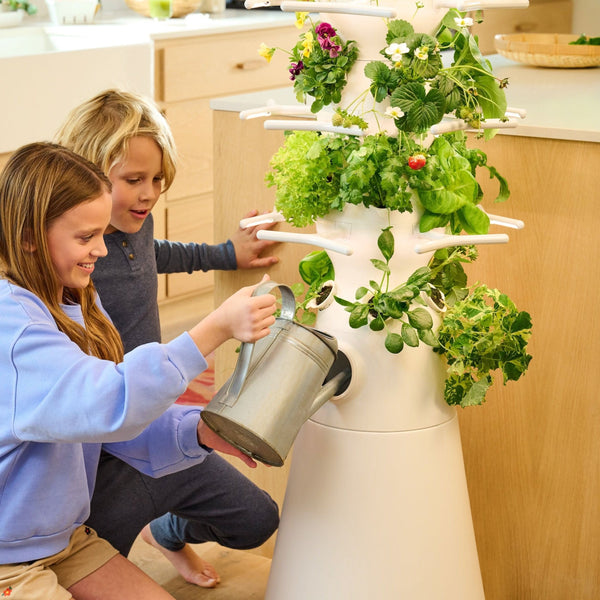 Farmstand Nook (UK) - Lettuce Grow