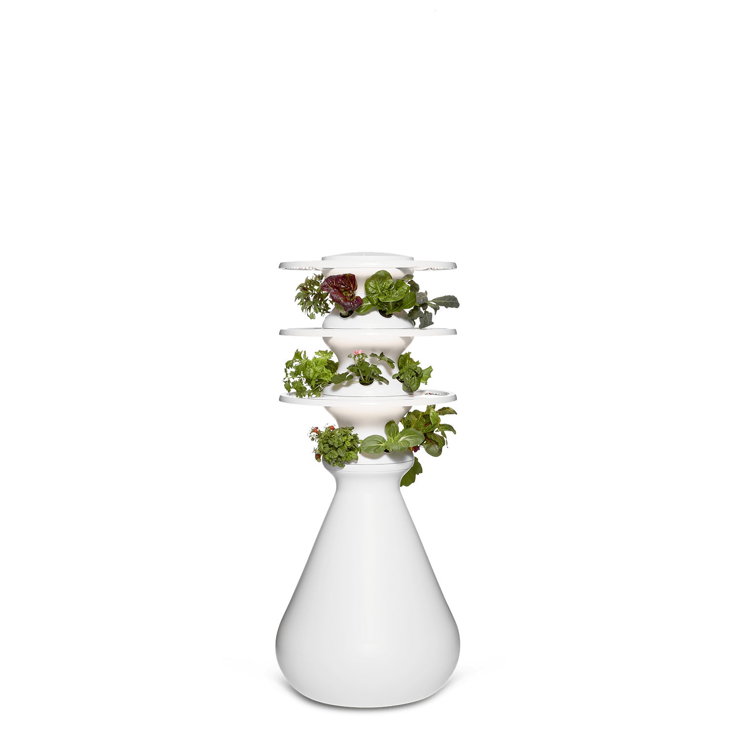 Original Farmstand - Lettuce Grow