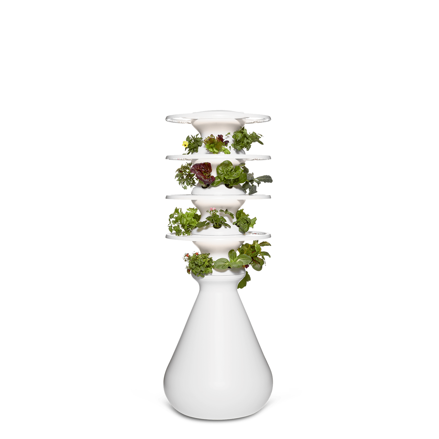 Original Farmstand - Lettuce Grow