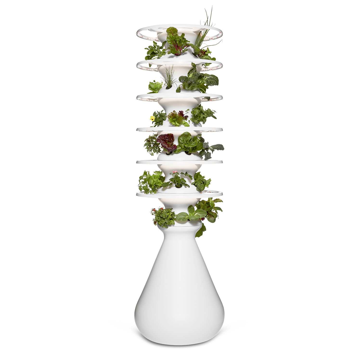 Original Farmstand - Lettuce Grow