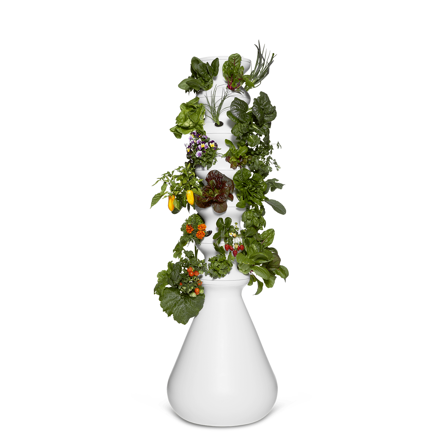 Original Farmstand - Lettuce Grow