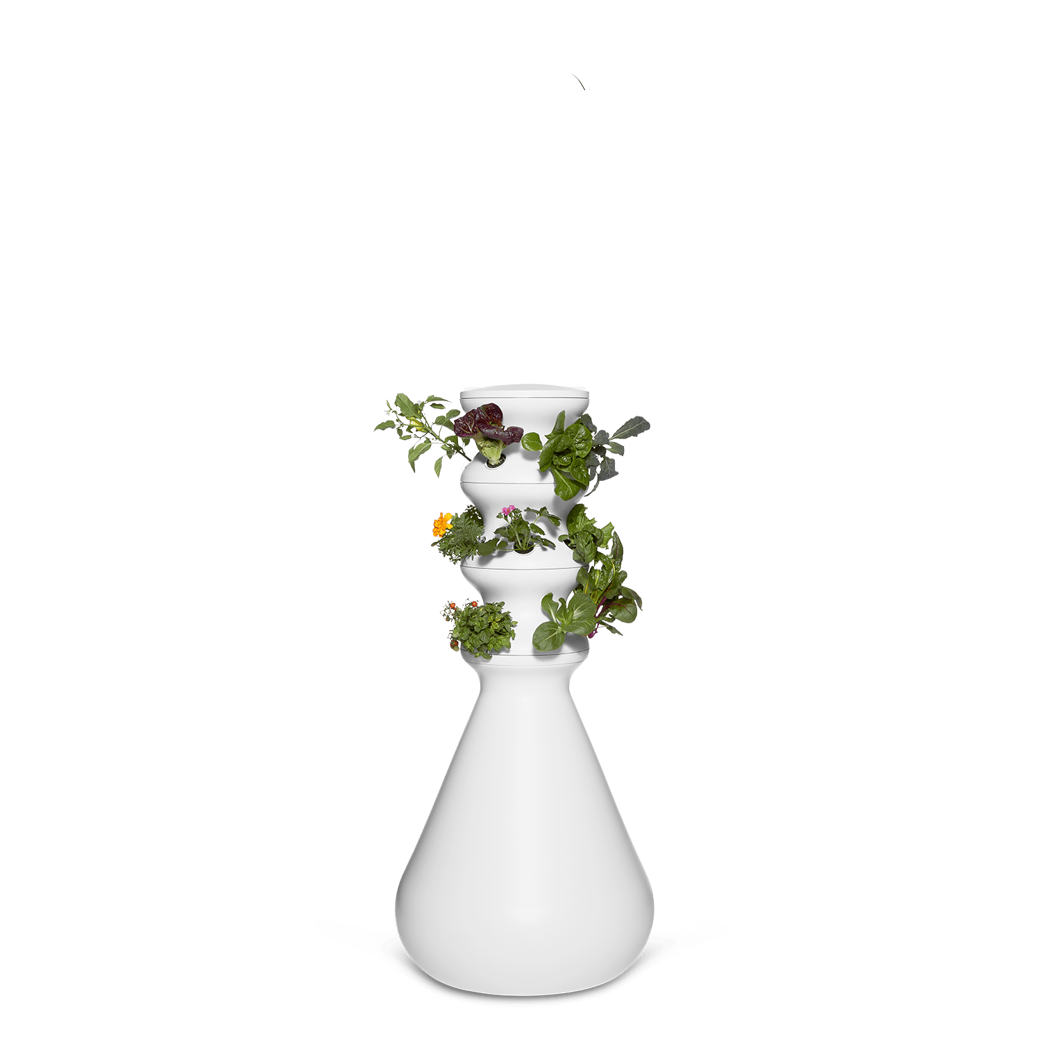 Original Farmstand - Lettuce Grow