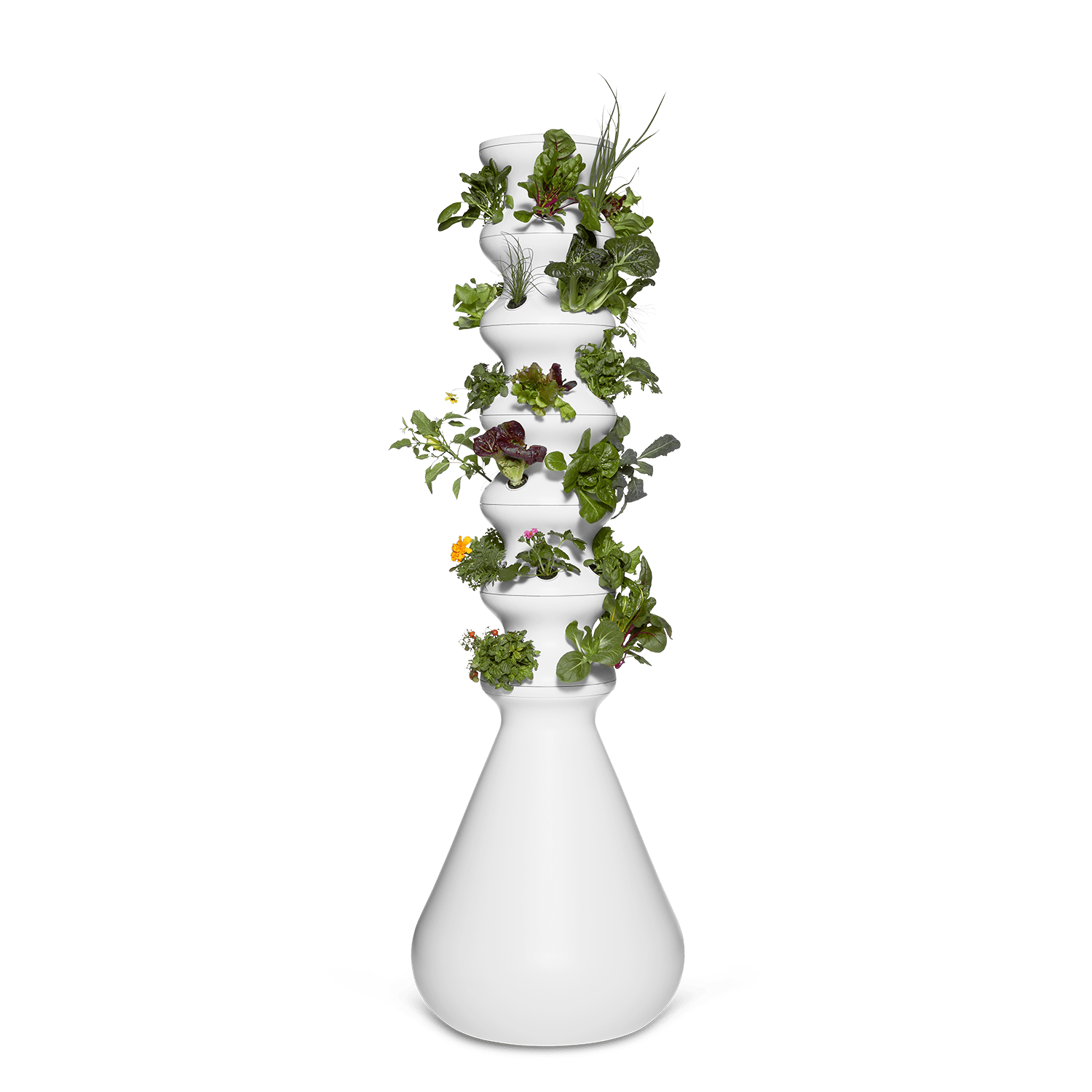 Original Farmstand - Lettuce Grow