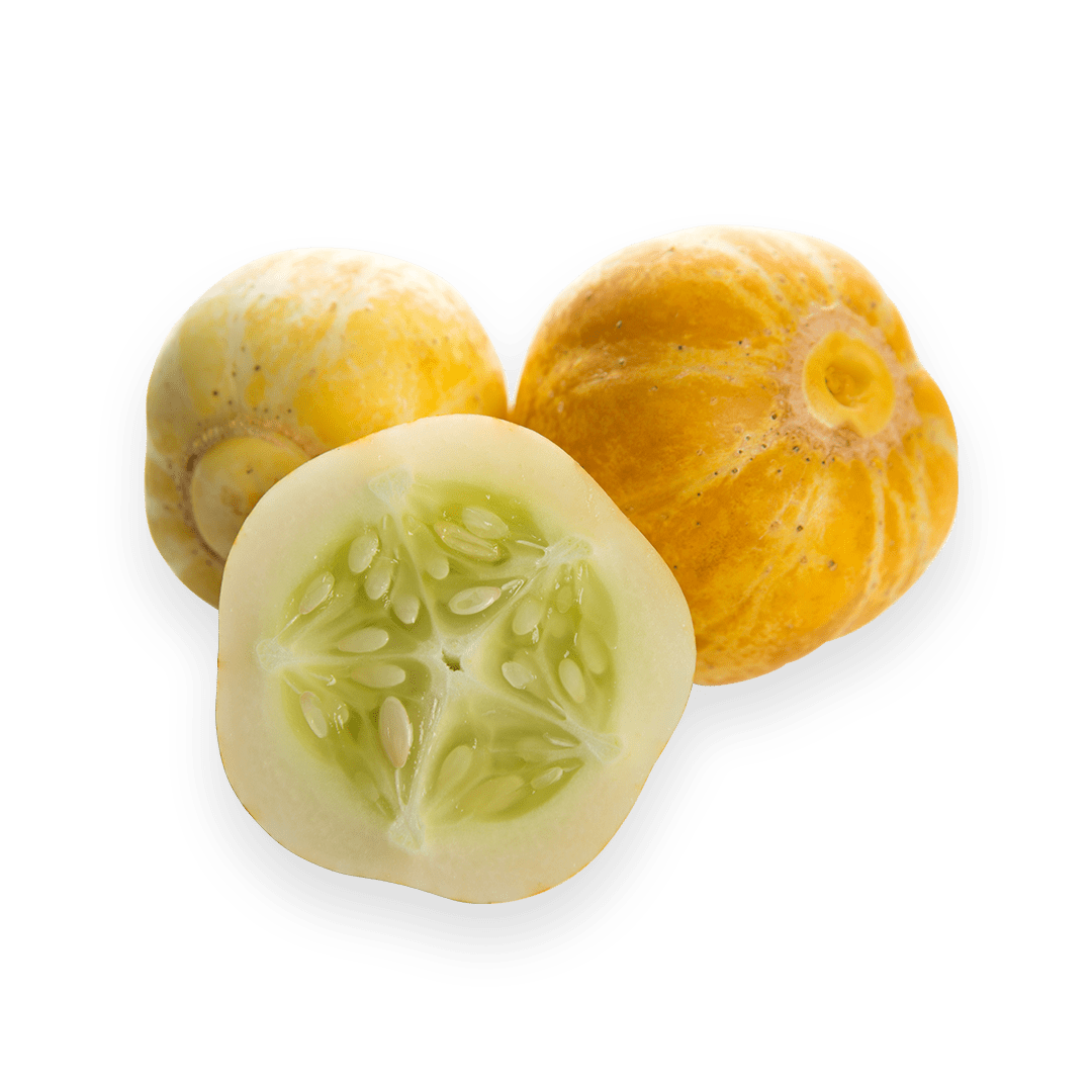 Lemon Cucumber