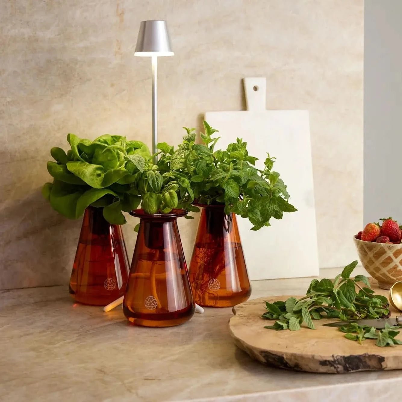 Glow Lamp (Pre-Order) - Lettuce Grow