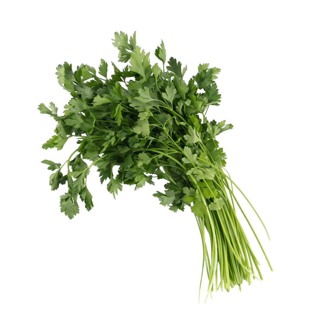 Italian Parsley