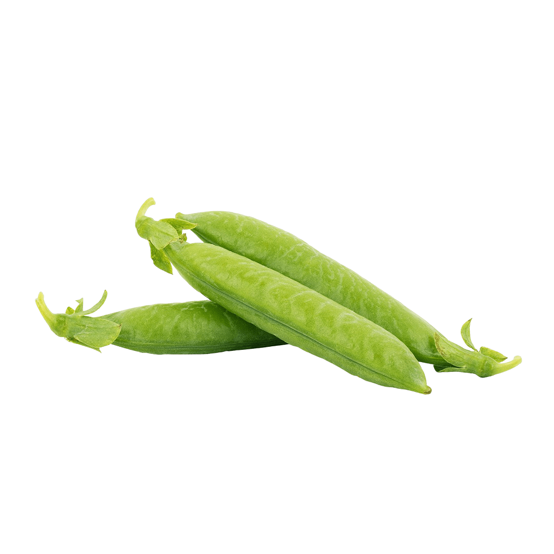 Sugar Sprint Pea