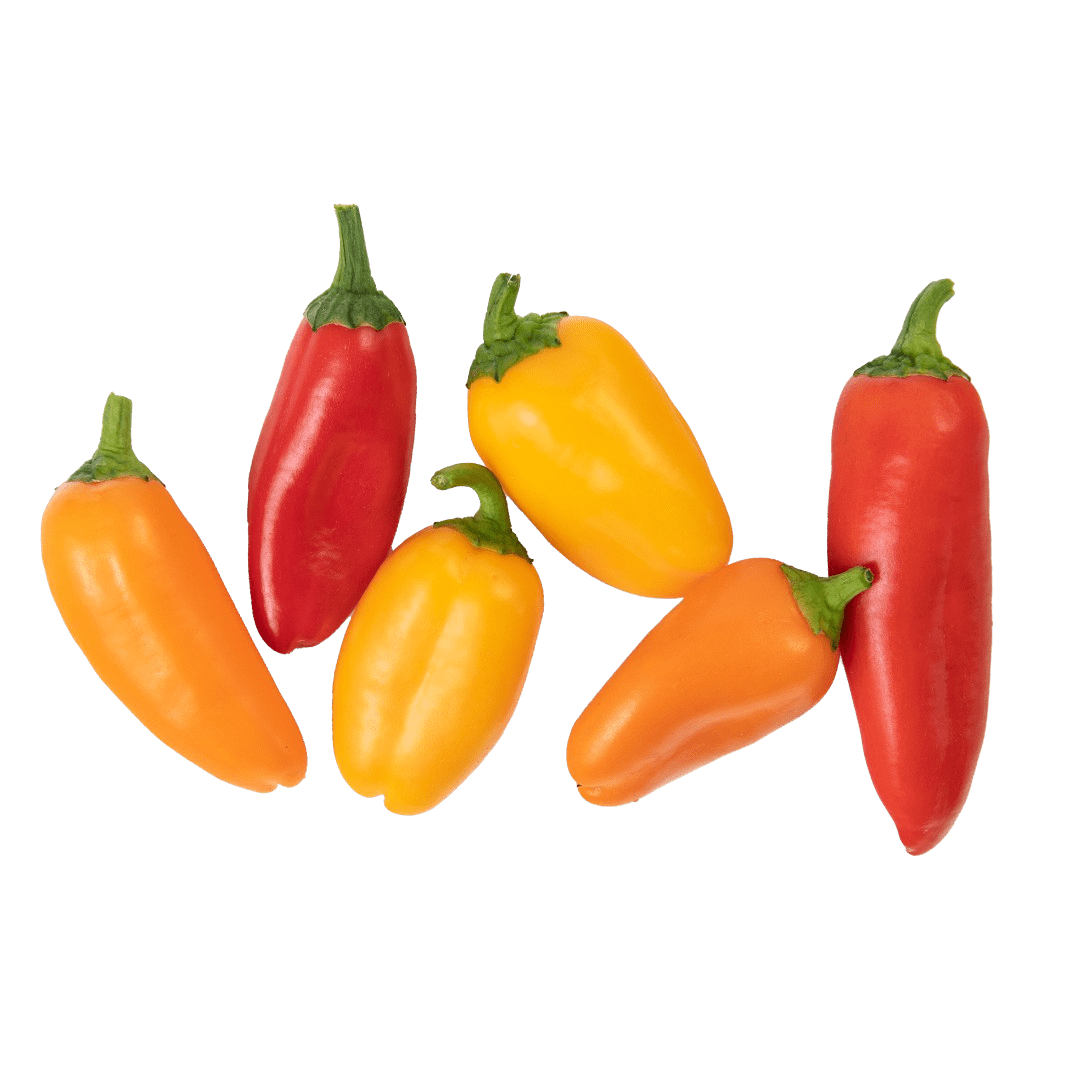 Lunchbox Peppers