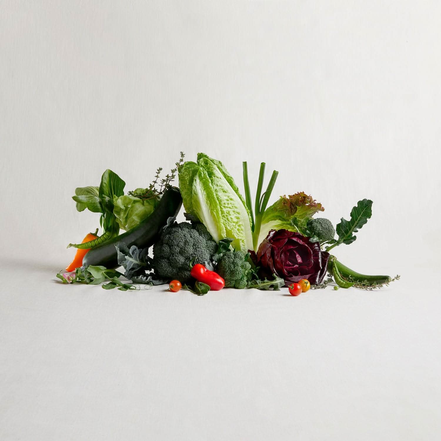 12-Plant Your Personal Bundle - Lettuce Grow