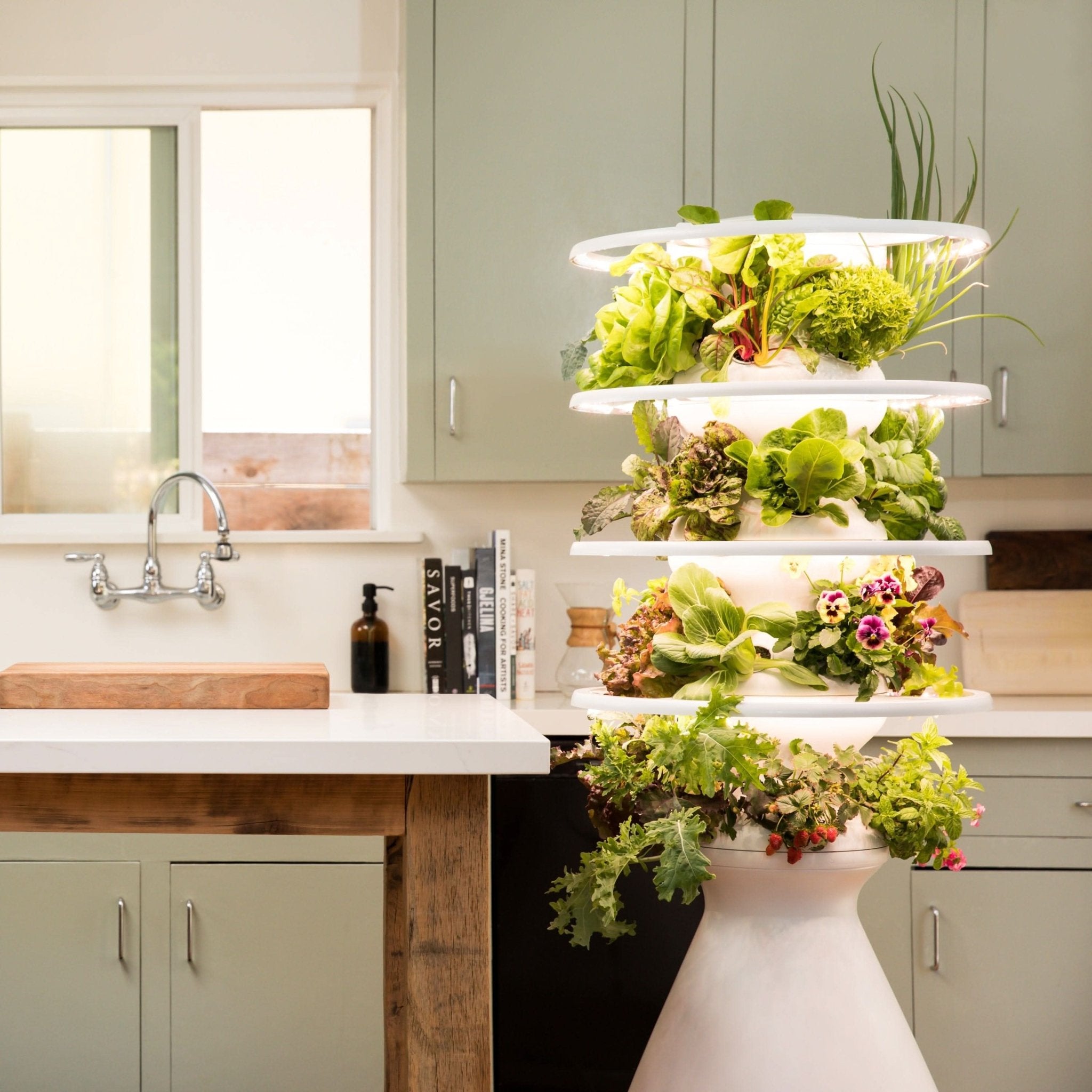 Refurbished Medium Farmstand - Lettuce Grow