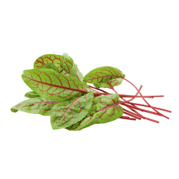 Sorrel UK
