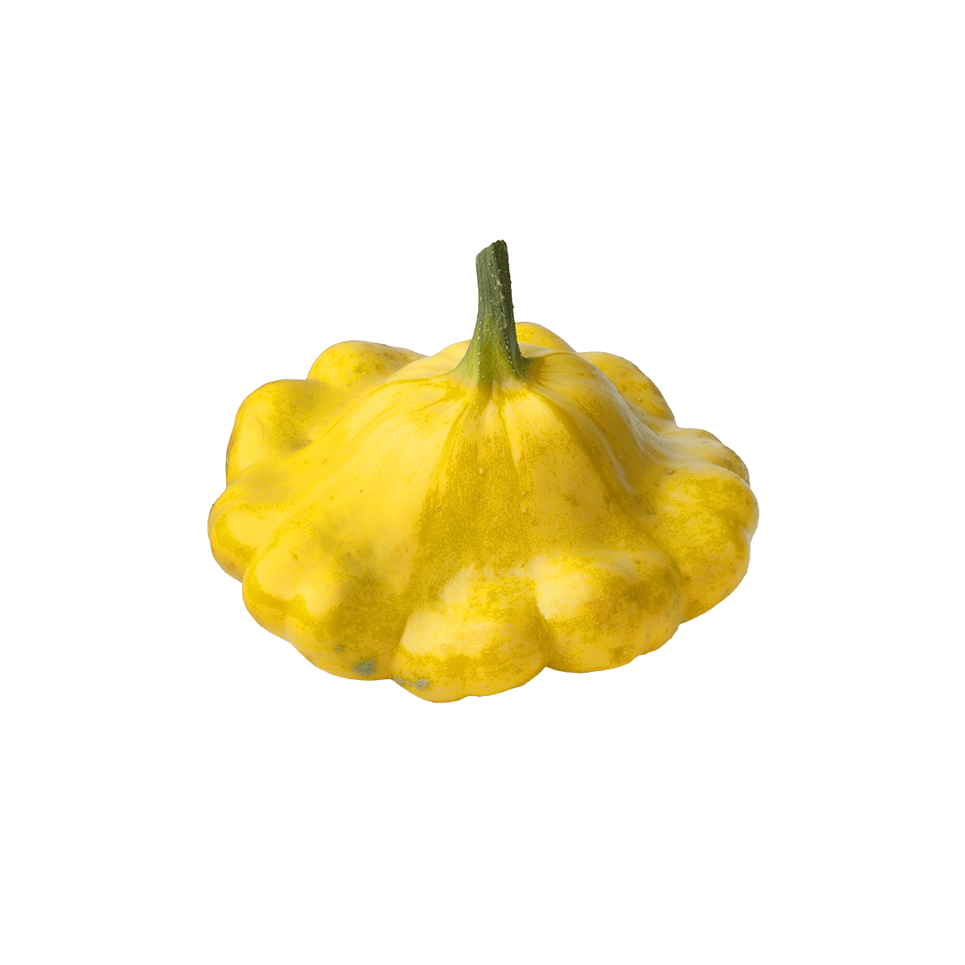 Patty Pan Squash