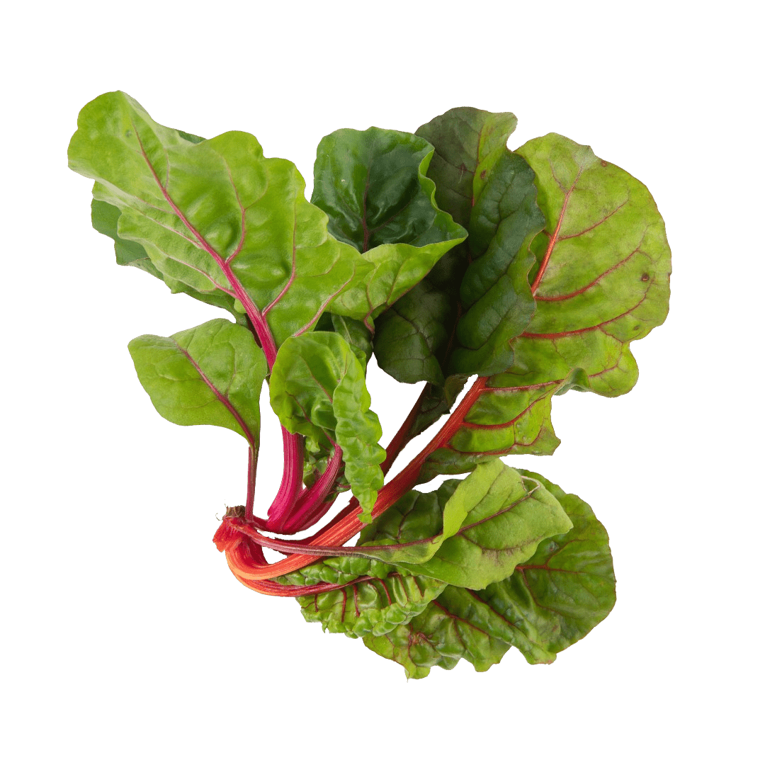 Rainbow Swiss Chard