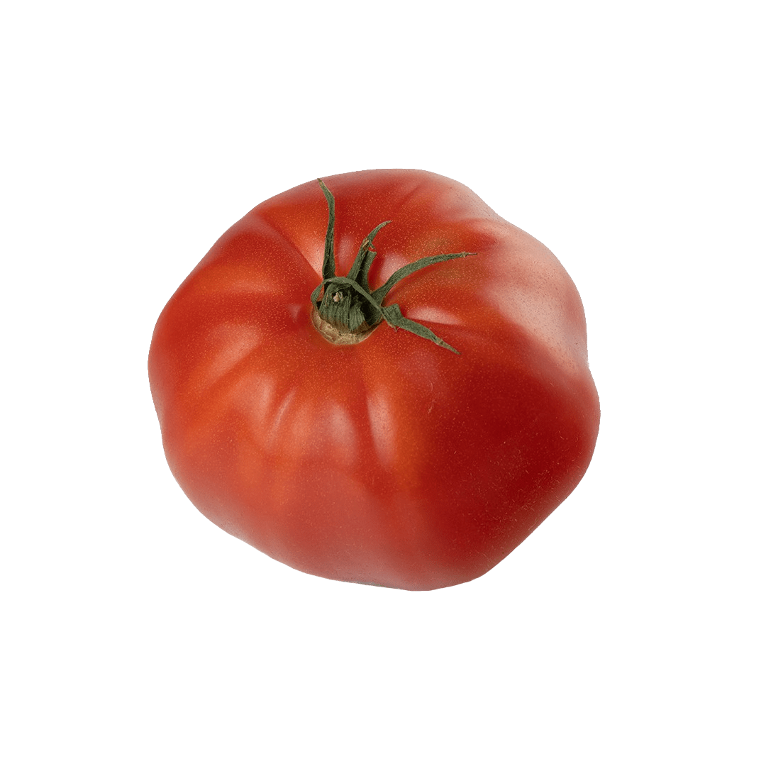Oregon Spring Tomato