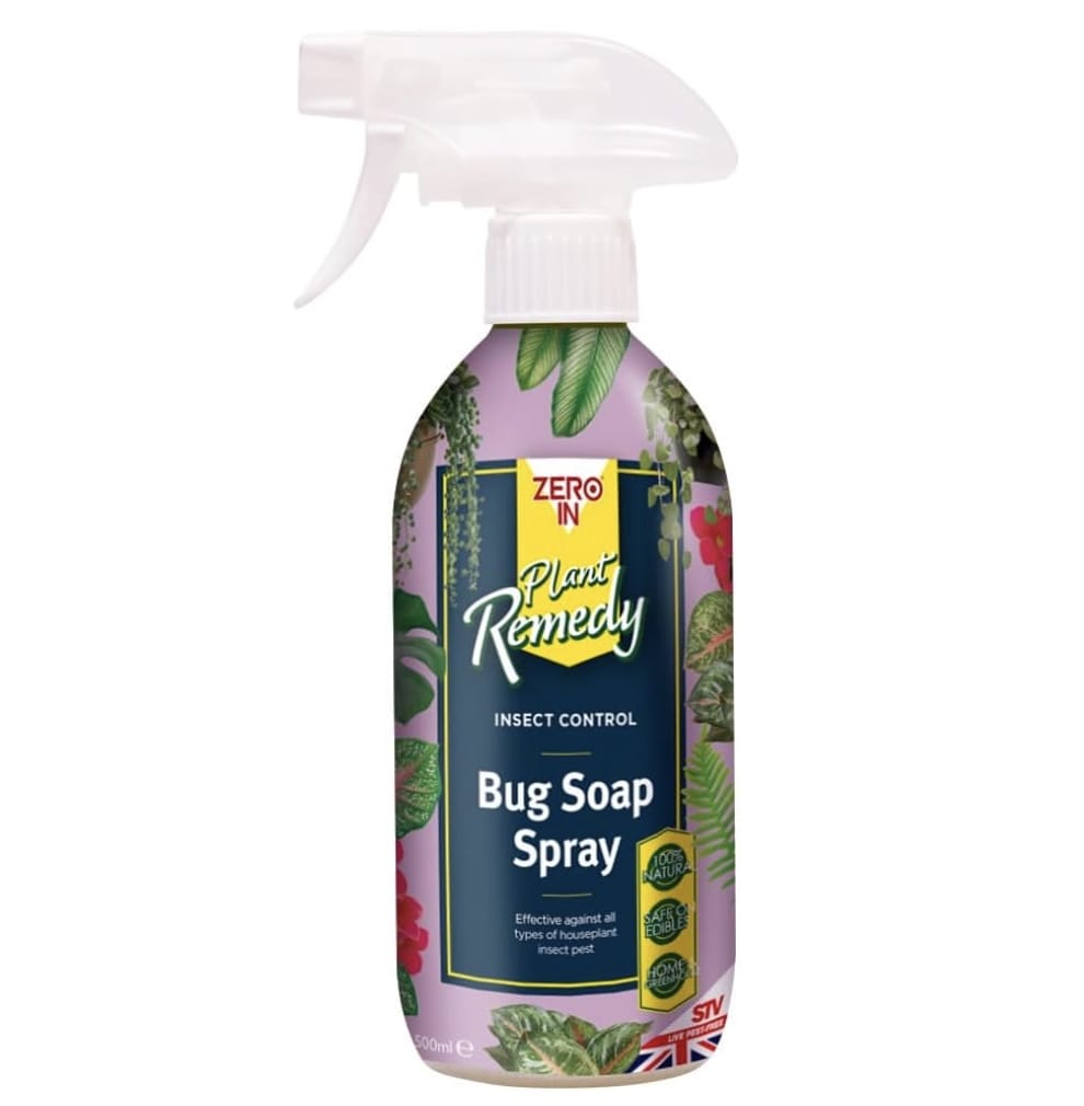 All Natural Insecticide