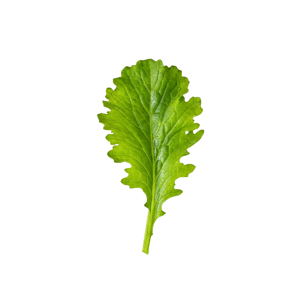 Wasabi Mustard Greens