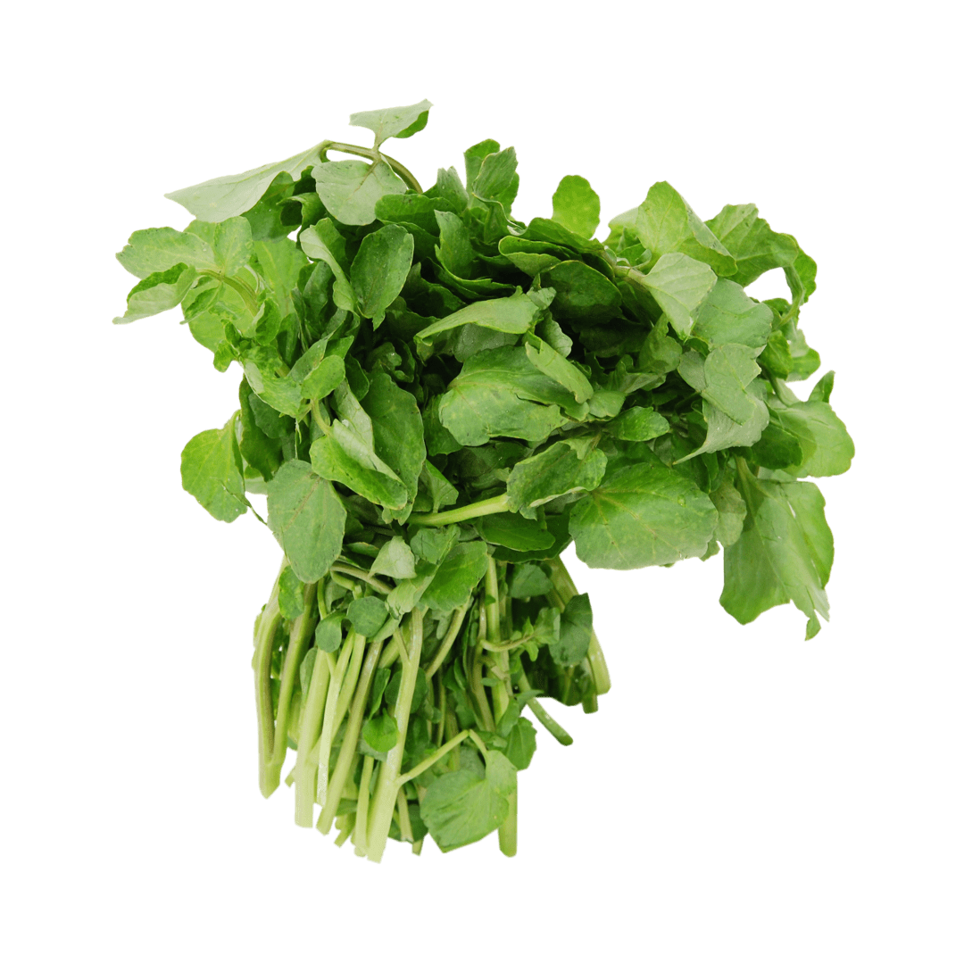 Watercress