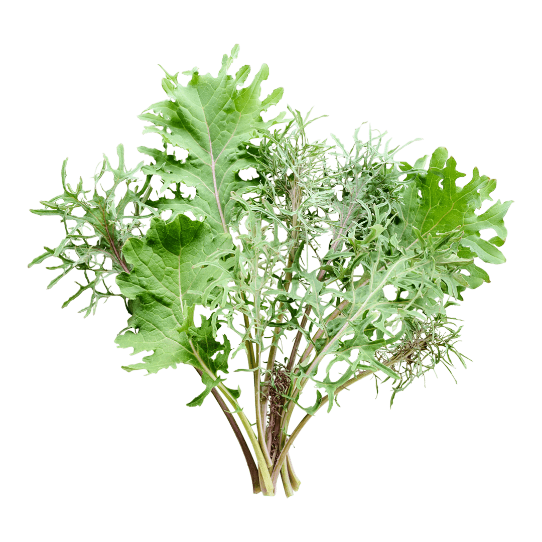 Bear Necessities Kale