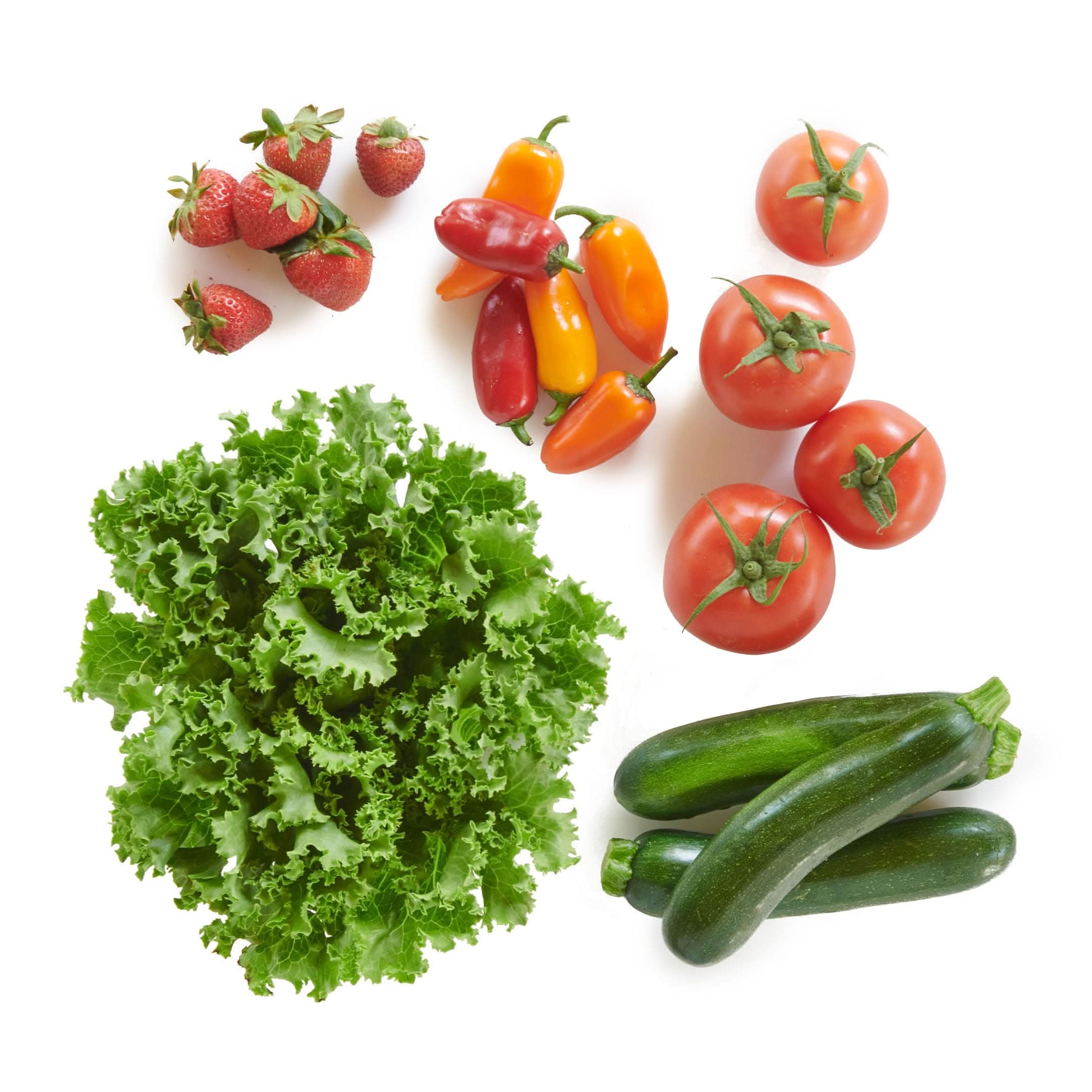 36-Plant Thrive Market Harvest Plan