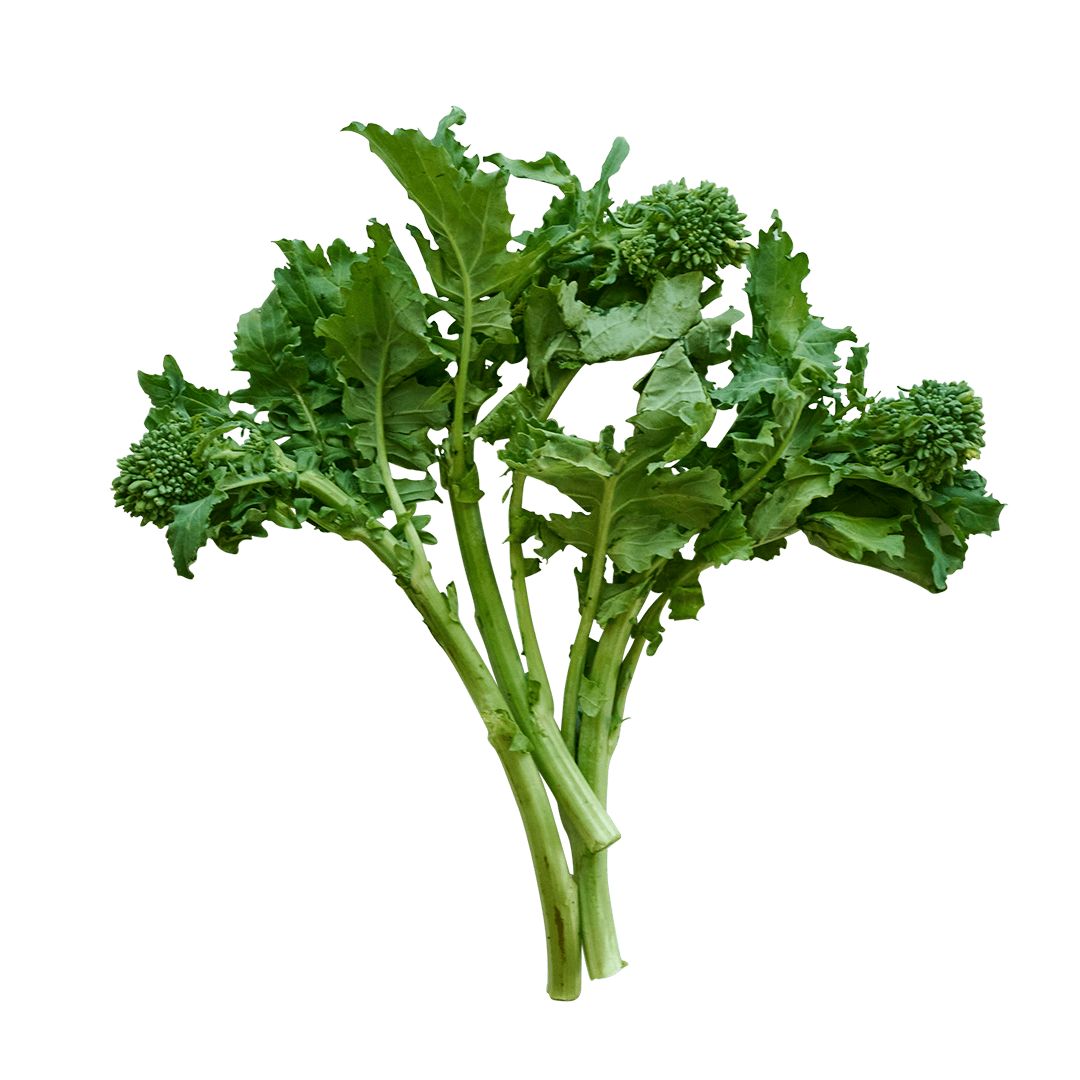 Broccoli Raab