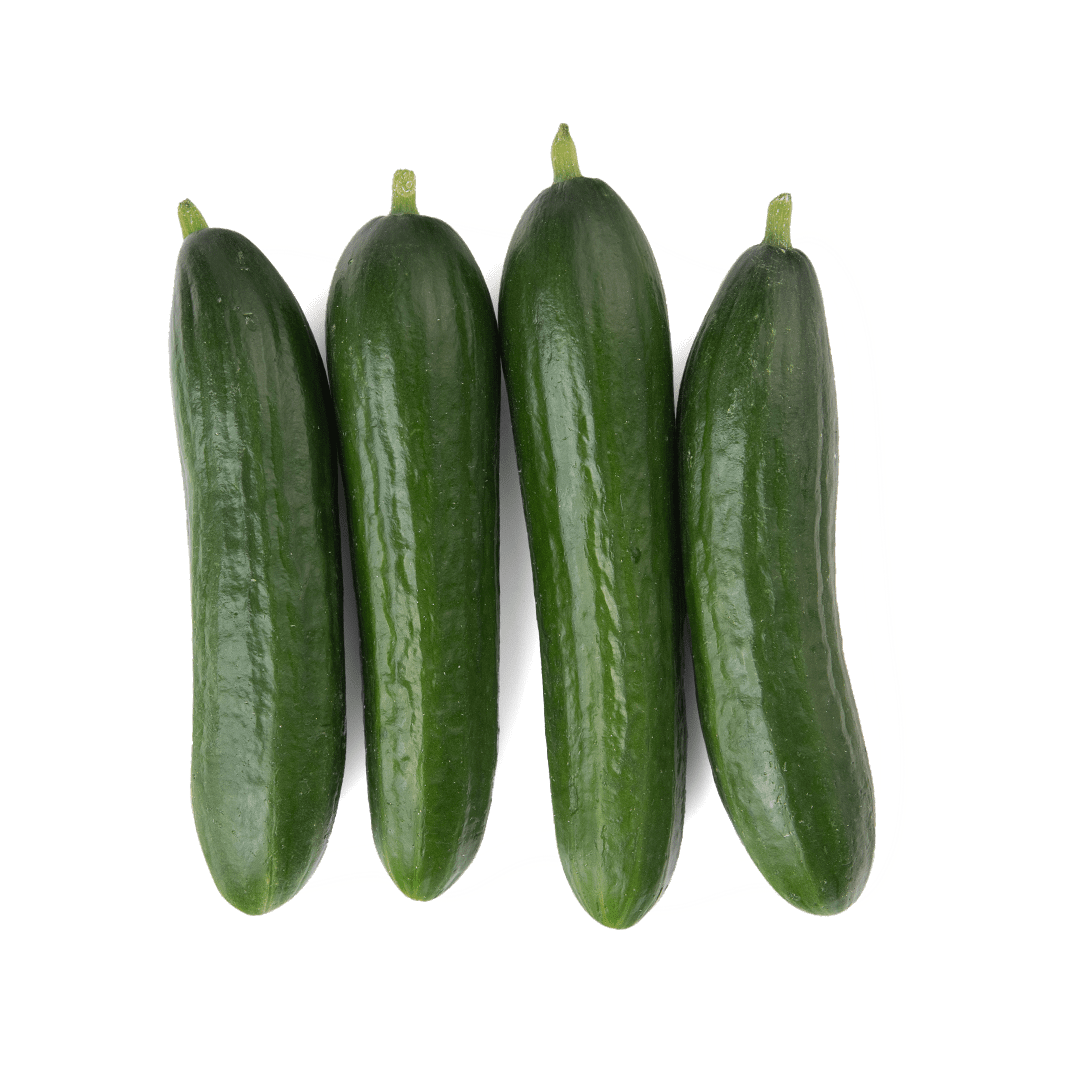 Mini Cucumber