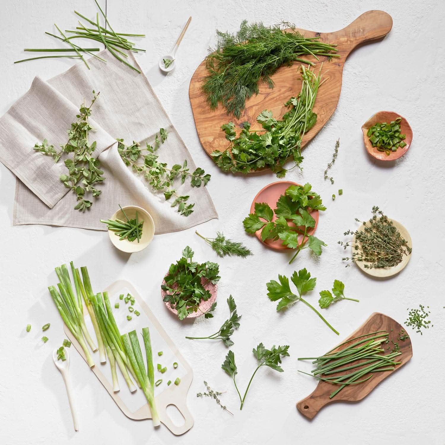 12-Plant Must-Have Herb Bundle