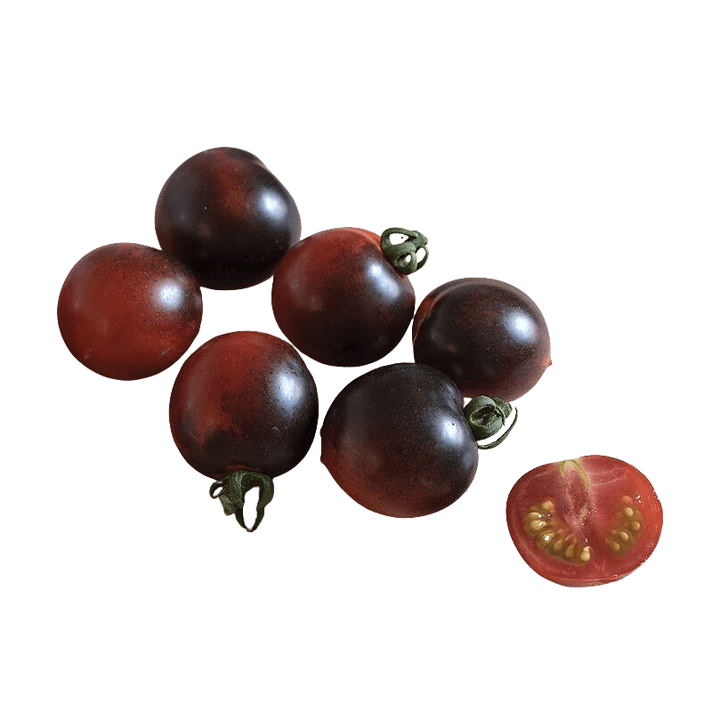 Indigo Cherry Tomato - Lettuce Grow