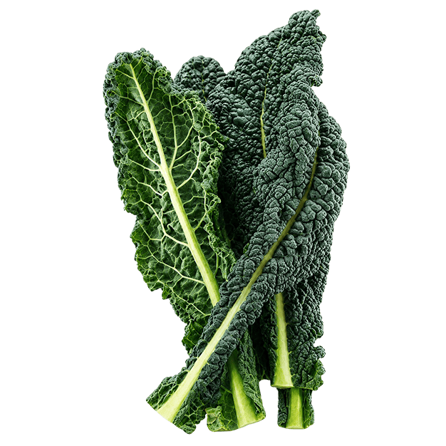 Bunch of green kale on a transparent background
