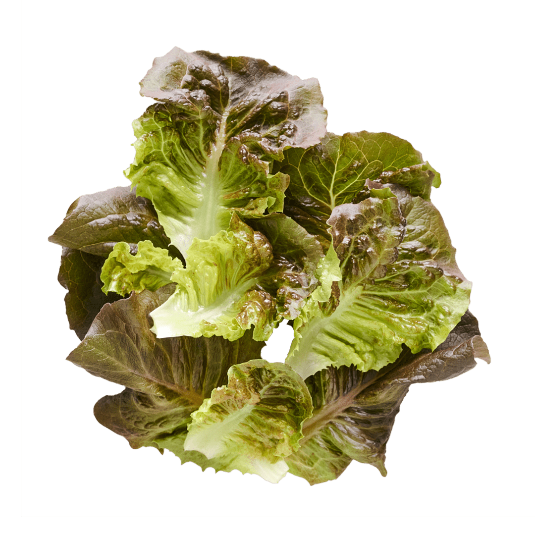 Pomegranate Crunch Romaine